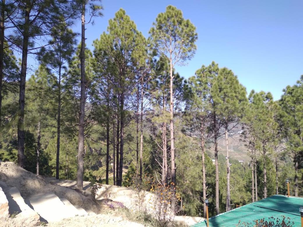 Nature Villaas Basa Homestay Pauri Exterior foto