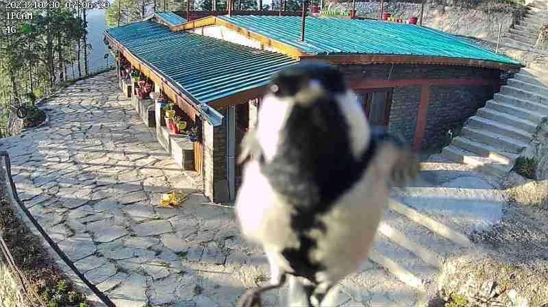 Nature Villaas Basa Homestay Pauri Exterior foto